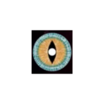 עדשות צבעוניות לפורים סקייאייז צבעים לפורים דגם 17MM-2